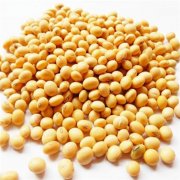 鮮黃豆冷庫設(shè)計(jì)安裝造價(jià),冷庫保鮮溫度是多少