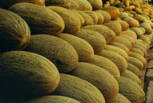 哈密瓜保鮮冷庫 哈密瓜保鮮冷庫