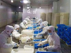 安裝一個3000立方低溫冷凍庫需要投資多少錢？