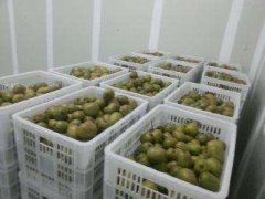 4000立方氣調冷庫安裝要多少錢?