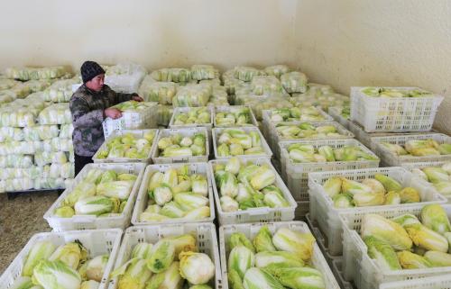 1000噸蔬菜冷庫 1000噸蔬菜冷庫