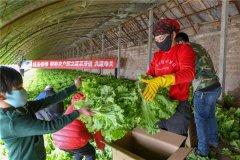 一場疫情,突出了冷庫的重要性!