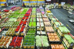 1000平米鮮花冷庫怎么安裝？造價費用是多少