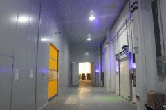 儲藏1000噸冷庫工程造價大概需要多少錢(上)