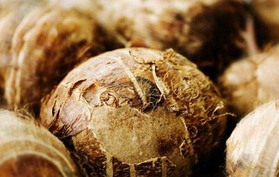 芋頭低溫冷藏庫(kù)