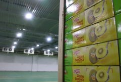 哪些是1000噸小型冷庫建造價格因素?