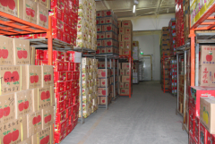 建一個(gè)600-800㎡蘋(píng)果冷庫(kù)建設(shè)多少錢(qián)