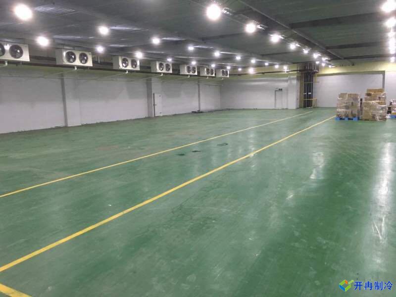 上海松江香車路299號(hào)瓜果保鮮庫建設(shè)案例