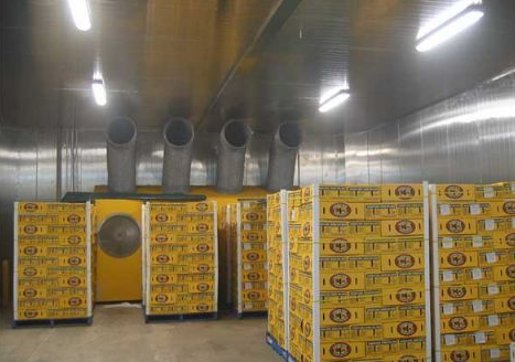 安裝一個芒果保鮮庫設計方案,芒果冷庫工程造價