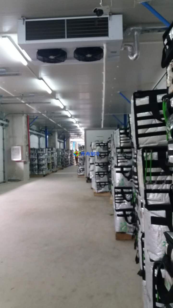 豬肉加工車間冷凍庫建設，排酸冷庫設計規劃方案