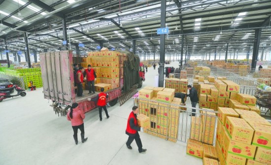 火龍果保鮮庫造價(jià)，溫度可以存儲多久？