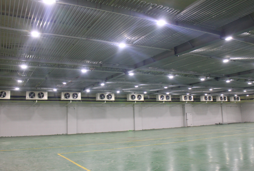 300噸西紅柿保鮮庫造價,西紅柿冷藏庫設(shè)計(jì)